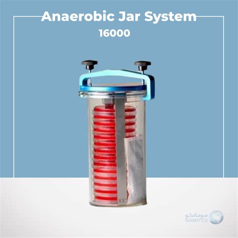 anaerobic jar system|Anaerobic jar .